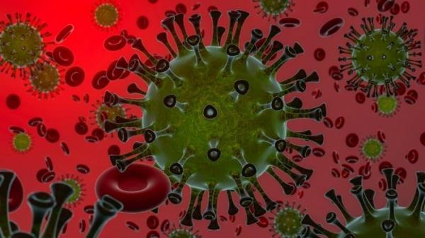 É provavel que a vacina da Pfizer seja eficaz contra nova cepa  do coronavirus