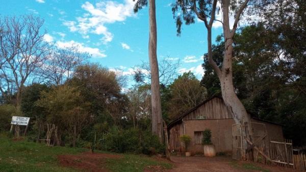 Horto florestal distribui mais de sete mil mudas em 2022