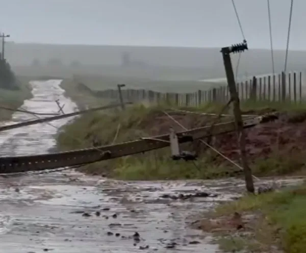 Temporal causa bloqueios e destelha escola no interior de Boa Vista do Cadeado