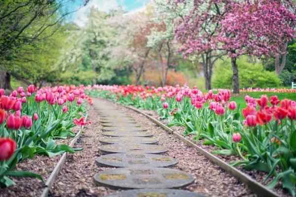 Senar-RS e Sindicato Rural ofertam curso de jardinagem