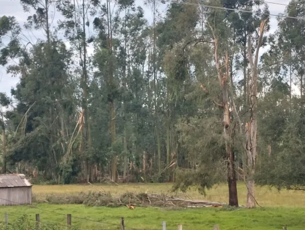 MICROEXPLOSÕES E FRENTE FRIA> A combinação que causou estragos em Cruz Alta
