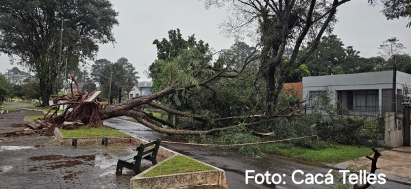 CHUVA FORTE!>  Rajada de vento de 77 km/h, destelhamentos e árvores tombadas