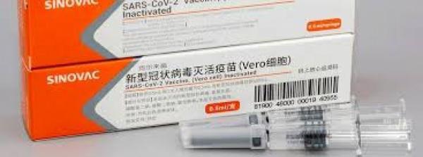 Anvisa libera importação de 6 milhões de doses da CoronaVac, vacina do Butanta