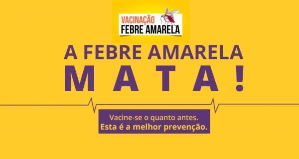 Brasil está em risco de uma nova epidemia de febre amarela