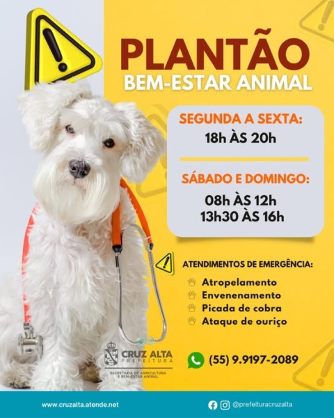 Cruz Alta Oferece Plantão de Emergência Veterinária e Castração Gratuita