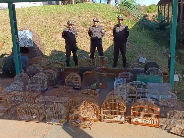 Brigada Militar realizou a Operação Canto Livre com libertação de pássaros 