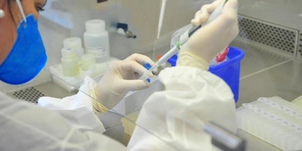 Porto Alegre tem 8 casos de cura clinica para o coronavírus