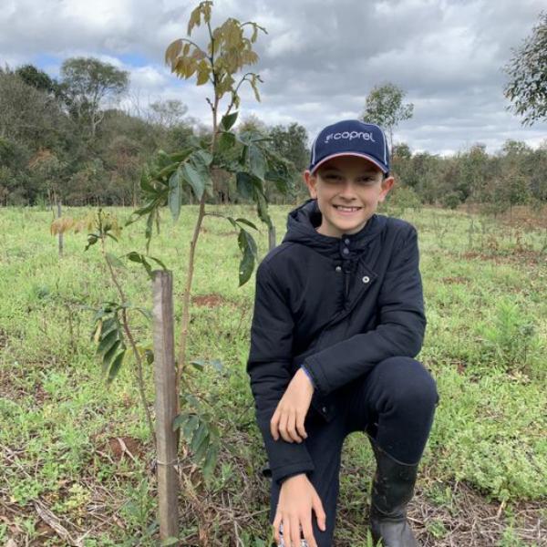 Município receberá cerca de 4 mil mudas do Projeto Coprel Ecologia nesta sexta