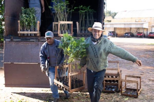 Cruz Alta recebe mais de cinco mil mudas do Projeto Coprel Ecologia
