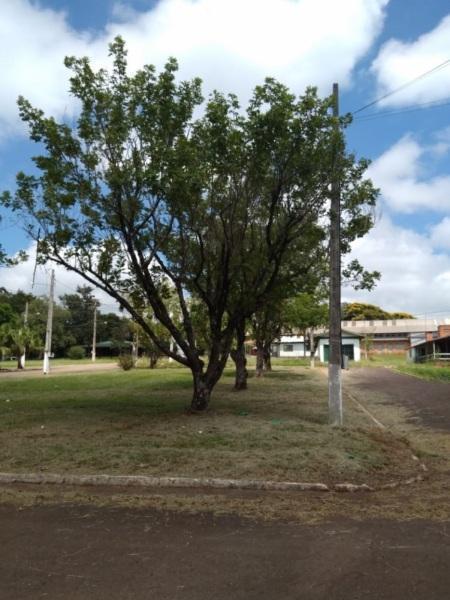 Parque de Exposições passa por revitalização