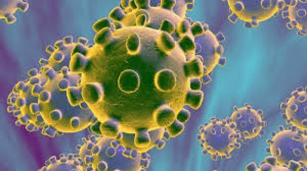 Confirmado primeiro caso de Coronavirus no Brasil