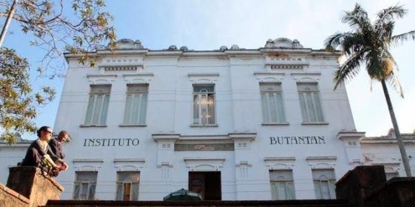 Butantan cria vacina contra a Covid-19 e pedirá à Anvisa para iniciar testes