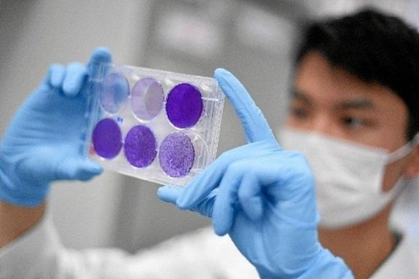 Vacina de Oxford gera resposta imune forte em idosos