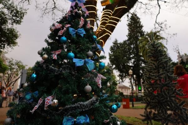 Programação de Natal começa com a montagem do 3º Caminho das árvores