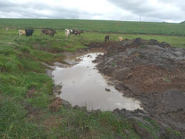  Bebedouros para animais estão sendo abertos no interior de Cruz Alta