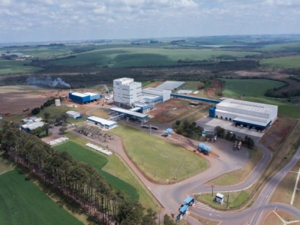 CCGL distribuirá R$ 28 milhões de bonificação para produtores de leite
