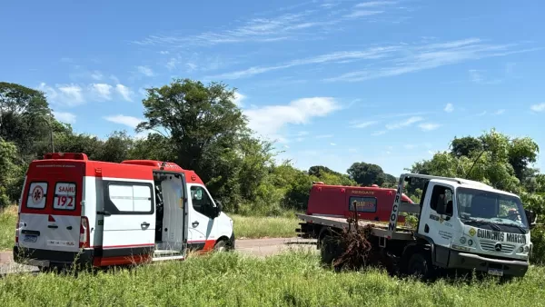 Caminhão guincho sai da pista e colide contra árvore em Cruz Alta