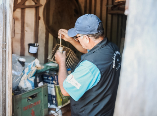DENGUE> Armadilhas apontam crescimento na infestação do mosquito em Cruz Alta