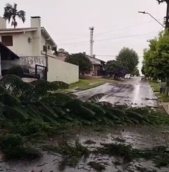 Chuva com raios derruba árvore em Cruz Alta; sexta com sol, nuvens e pancadas