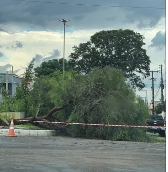 SEXTA SANTA: Forte Temporal derruba árvores e assusta moradores de Cruz Alta 