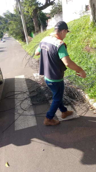 Defesa Civil de Cruz Alta Intensifica Retirada de Emaranhados de Fios 