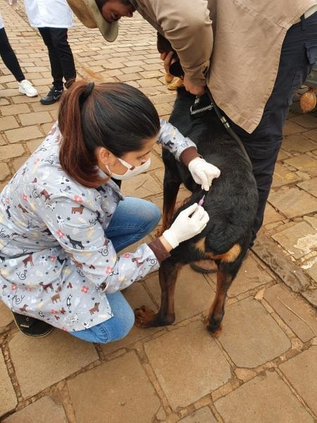 Unicruz divulga números da ação de vacinação canina e felina