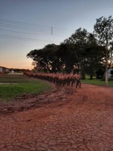 29º GAC AP realizou essa semana Operação Boina Preta com seu efetivo variável