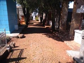 Cemitério Municipal passa por serviços de limpeza para Dia de Finados
