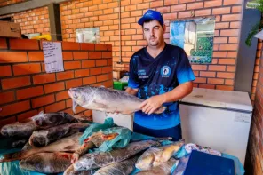 SEGUE NA MANHÃ DE HOJE> A 30ª Feira do Peixe na feira do produtor em Cruz Alta