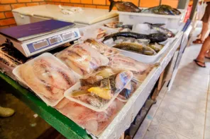 SEGUE NA MANHÃ DE HOJE> A 30ª Feira do Peixe na feira do produtor em Cruz Alta