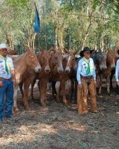 Rossano Cavalari: os tropeiros que em 2022 revivem o caminho até Sorocaba