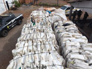 MAIS INFORMAÇÕES>DECRAB e Patram desarticulam reciclagem ilegal de agrotóxicos