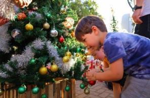 2º Caminho das Árvores marca abertura da programação de Natal de Cruz Alta