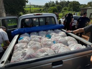 Instituição Debaixo da Videira distribui cestas básicas no Bairro Progresso