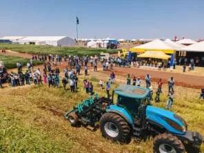 CONTINUA HOJE> O segundo dia de Campo de verão C.Vale em Cruz Alta