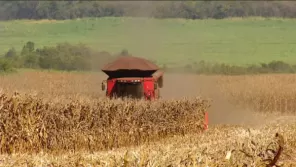 PIB cresce 2,3% em 2025 e fecha o ano em R$ 12,7 trilhões