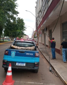 Mutirão realiza remoção de fios excedentes em postes da Pinheiro Machado