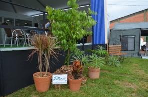XVII Fenatrigo Agrotecnologia apresenta o Jardim Sensorial 