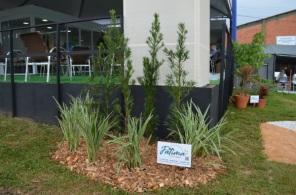 XVII Fenatrigo Agrotecnologia apresenta o Jardim Sensorial 