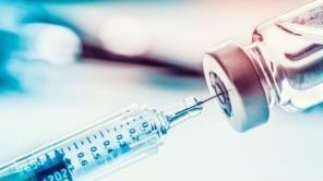 Vacinação contra o Sarampo e a febre amarela
