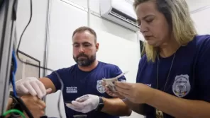 Governo do Estado emite 1,3 milhão de novas carteiras de identidade em 2025