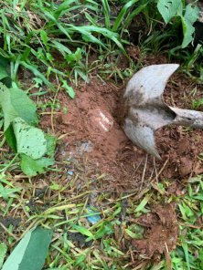 Em Cruz Alta, Polícia Civil encontra droga em lata e prende homem por tráfico