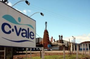 C.Vale é eleita melhor cooperativa em aves e suínos por Revista