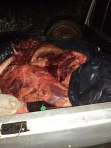 Três pessoas são presas por prática de abigeato em Cruz Alta