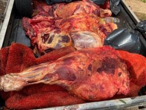 Três pessoas são presas por prática de abigeato em Cruz Alta