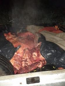 Três pessoas são presas por prática de abigeato em Cruz Alta