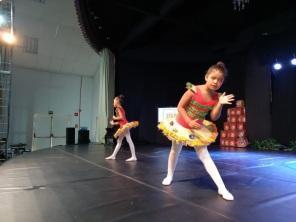 Bom público no espetáculo formatura do núcleo de dança da casa de cultura