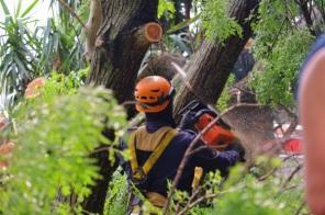 Cruz Alta comemora a vinda do Comando Regional do Corpo de Bombeiros