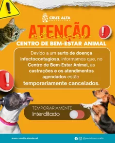Centro de Bem-Estar Animal de Cruz Alta é interditado temporariamente