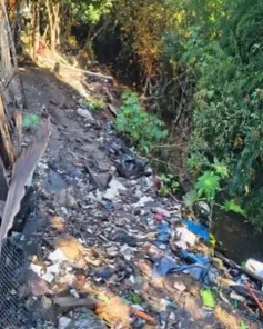 FORÇA VERDE DA BRIGADA MILITAR: Cruz Alta também teve fiscalizações 